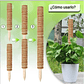 Kit Soporte En Fibra De Coco Plantas Trepadoras x4 Unidades - Miniatura 4