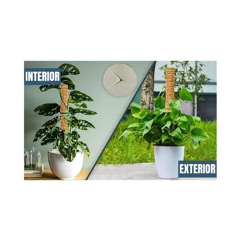 Kit Soporte En Fibra De Coco Plantas Trepadoras x4 Unidades 6