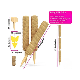 Soporte en Musgo Coco Plantas Trepadoras x3 Piezas más accesorios