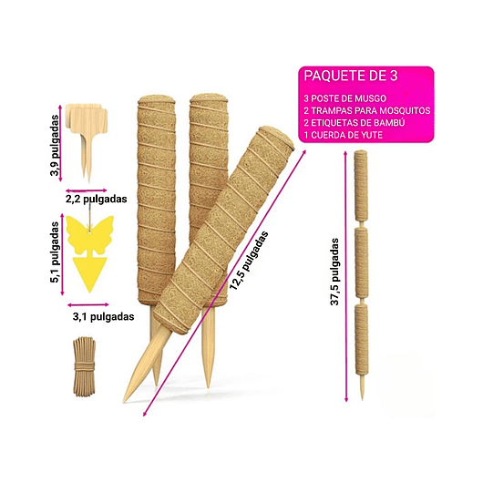 Soporte en Musgo Coco Plantas Trepadoras x3 Piezas más accesorios 2