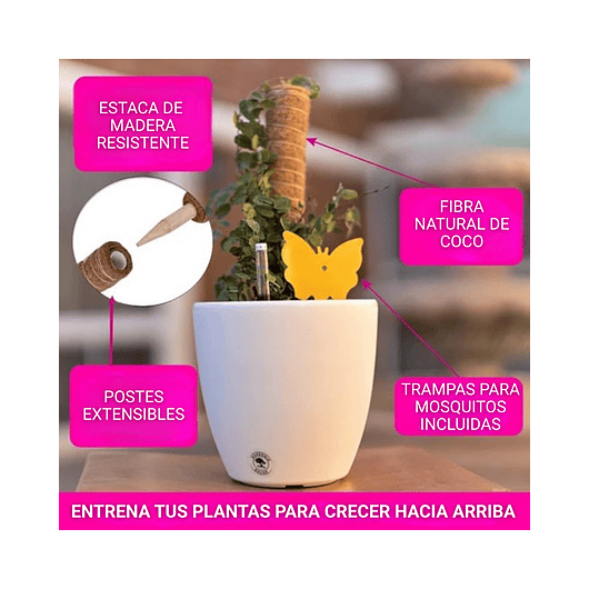 Soporte en Musgo Coco Plantas Trepadoras x3 Piezas más accesorios 3