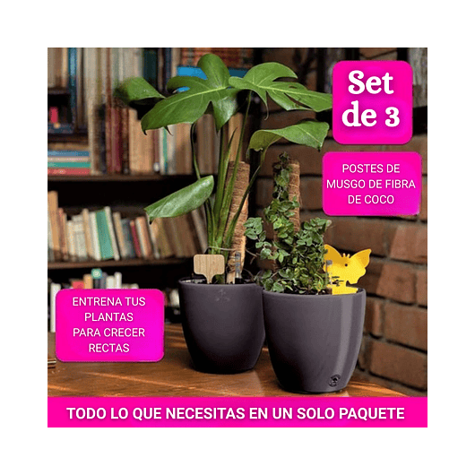 Soporte en Musgo Coco Plantas Trepadoras x3 Piezas más accesorios 4