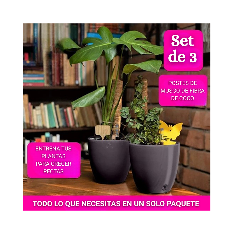 Soporte en Musgo Coco Plantas Trepadoras x3 Piezas más accesorios 4