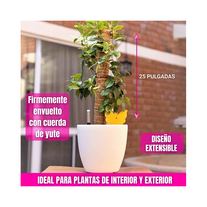 Soporte en Musgo Coco Plantas Trepadoras x3 Piezas más accesorios 5