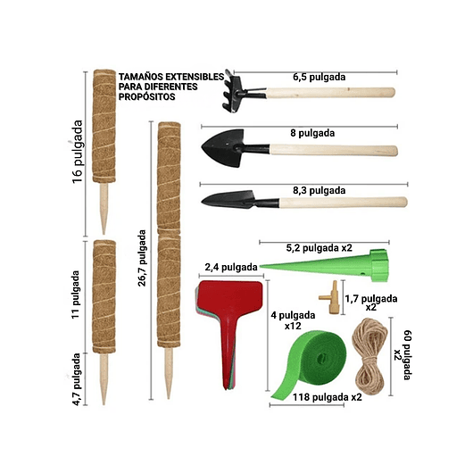 Soporte En Musgo Coco Plantas Trepadoras x4 unidades más 10 herramientas 4