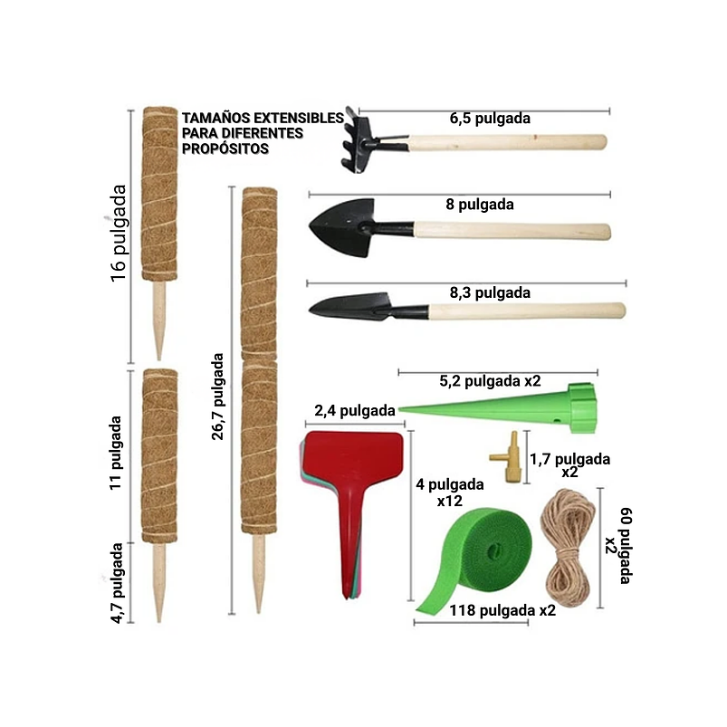 Soporte En Musgo Coco Plantas Trepadoras x4 unidades más 10 herramientas 4