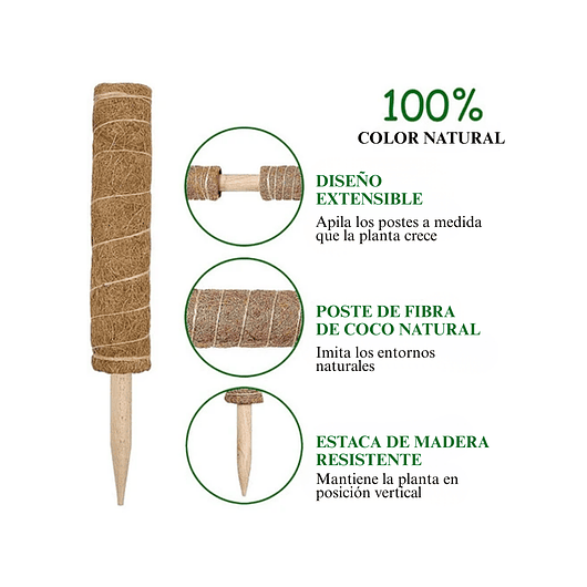 Soporte En Musgo Coco Plantas Trepadoras x4 unidades más 10 herramientas 5