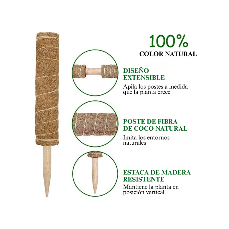 Soporte En Musgo Coco Plantas Trepadoras x4 unidades más 10 herramientas 5