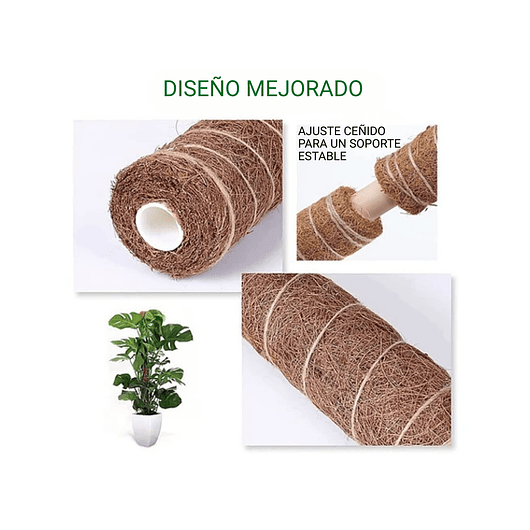 Soporte En Musgo Coco Plantas Trepadoras x4 unidades más 10 herramientas 6