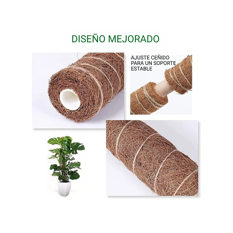 Soporte En Musgo Coco Plantas Trepadoras x4 unidades más 10 herramientas 6