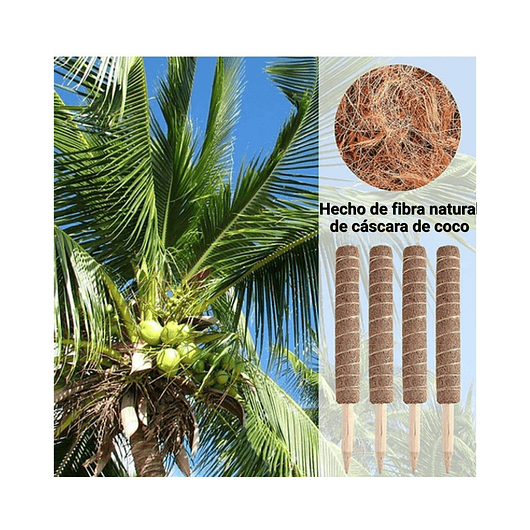 Soporte En Musgo Coco Plantas Trepadoras x4 unidades más 10 herramientas 7