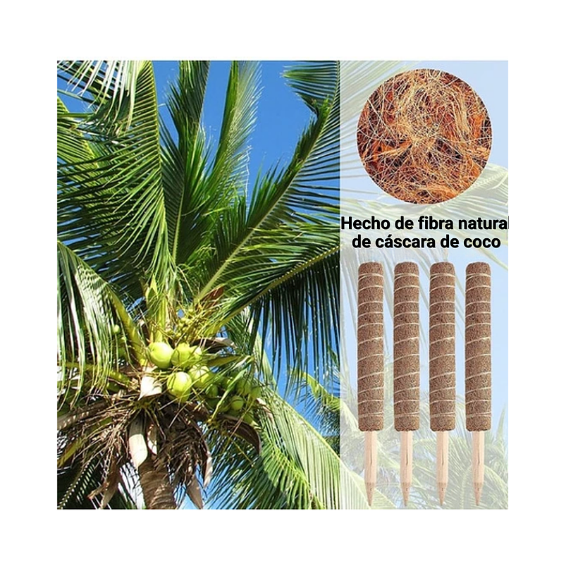Soporte En Musgo Coco Plantas Trepadoras x4 unidades más 10 herramientas 7