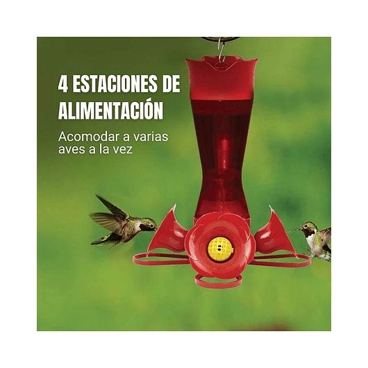 Bebedero De Colibríes Colgar Diseño Flor 8oz Plástico 5