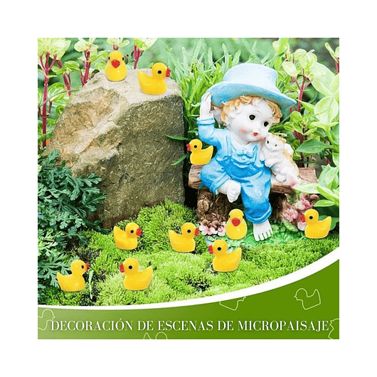 Mini Figura Patos De Jardín Hadas Terrario Suculentas  X20pz 6