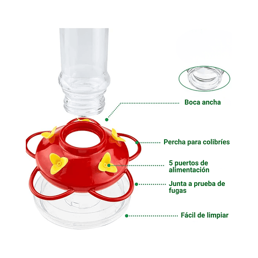 Bebedero De Colibries Cilindrico Colgar 10oz Vidrio 5 Flores 5