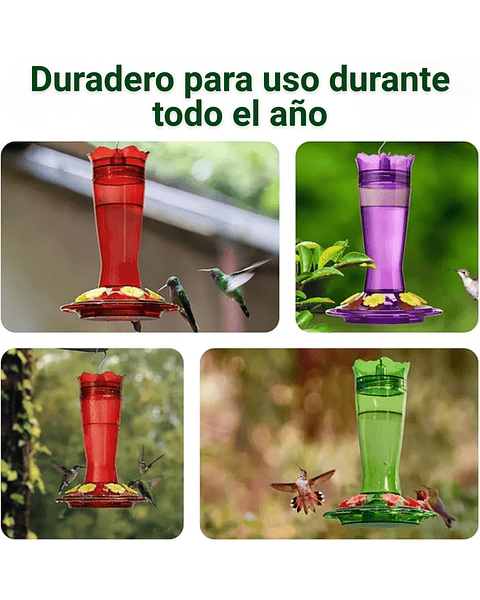 Bebedero Colibríes Aves en Vidrio de Colgar 13 Oz