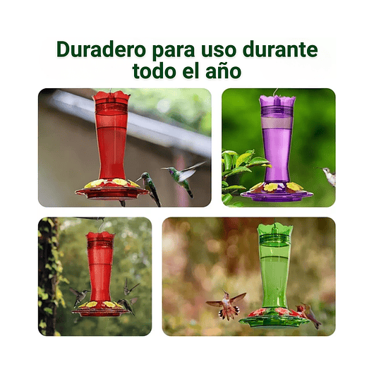 Bebedero Colibríes Aves en Vidrio de Colgar 13 Oz 2