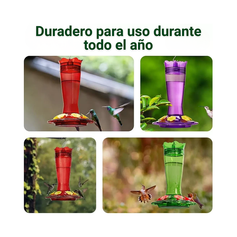 Bebedero Colibríes Aves en Vidrio de Colgar 13 Oz 2