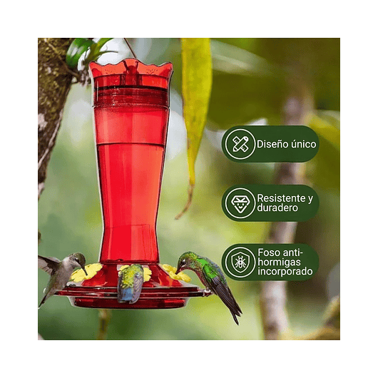 Bebedero Colibríes Aves en Vidrio de Colgar 13 Oz 4