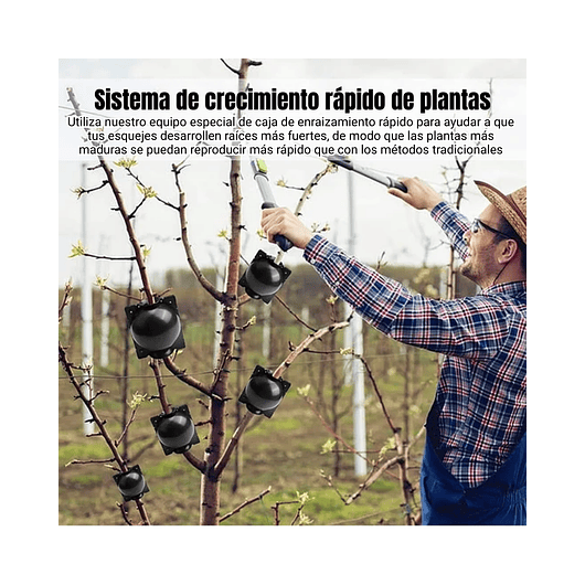 Esqueje Bola Plásticas Propagación x10 Raíz Enraizamiento T:S 5