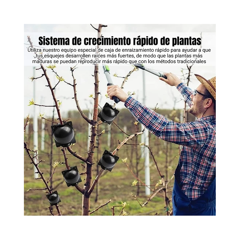 Esqueje Bola Plásticas Propagación x10 Raíz Enraizamiento T:S 5