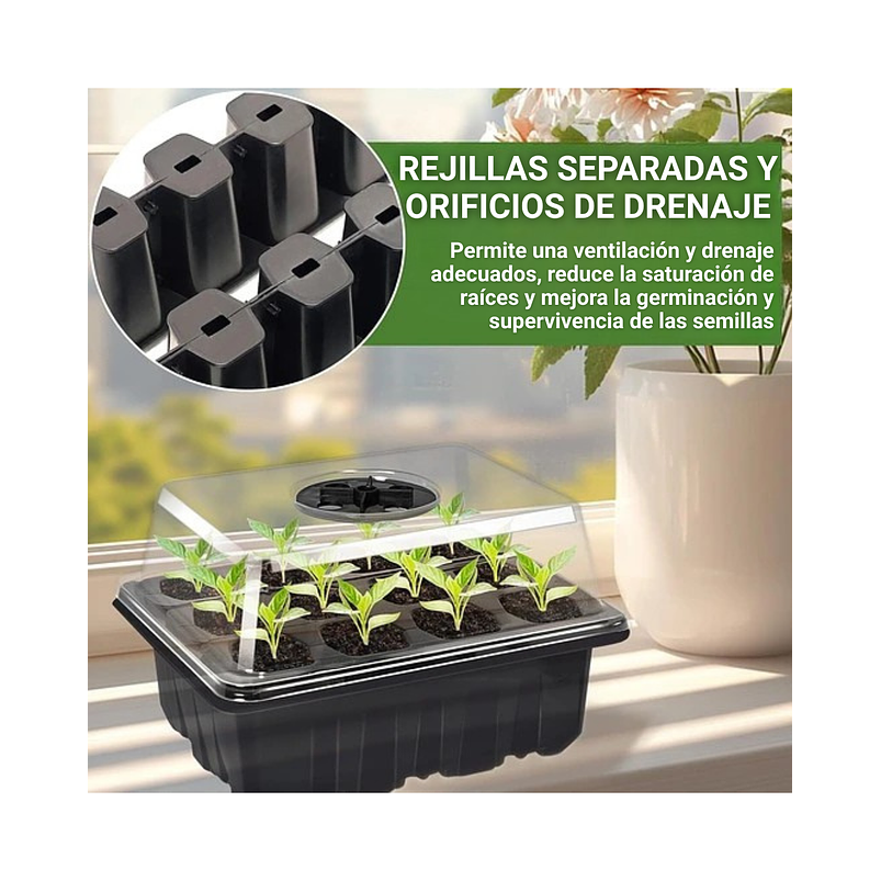 Kit Germinacion X3 Bandejas + Cupula Y Herramientas Plantas 9