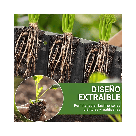 Kit Germinacion X3 Bandejas + Cupula Y Herramientas Plantas 11