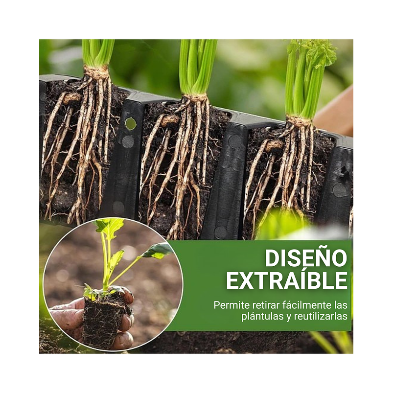 Kit Germinacion X3 Bandejas + Cupula Y Herramientas Plantas 11