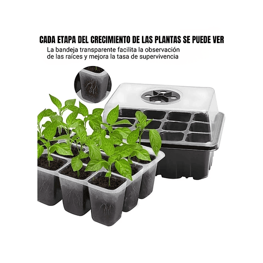 Bandeja Germinación Semillas x01 Unidad Cúpula Plástica 3