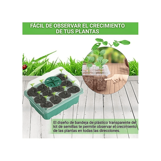 Bandeja Germinación Semillas x01 Unidad Cúpula Plástica 12