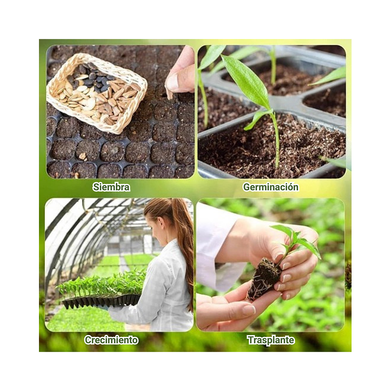 Bandeja 200 Cavidades Germinación Plantulas Plástica X2 Pz 4