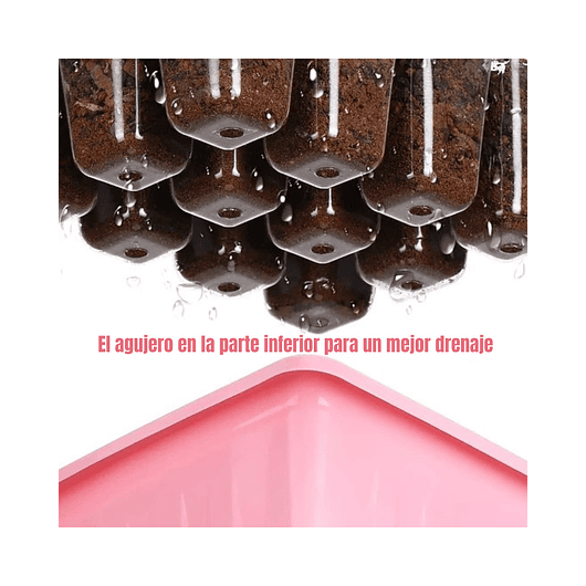 Bandeja Germinación Semillas Plantas Plástica mas cúpula x01 Pieza 4