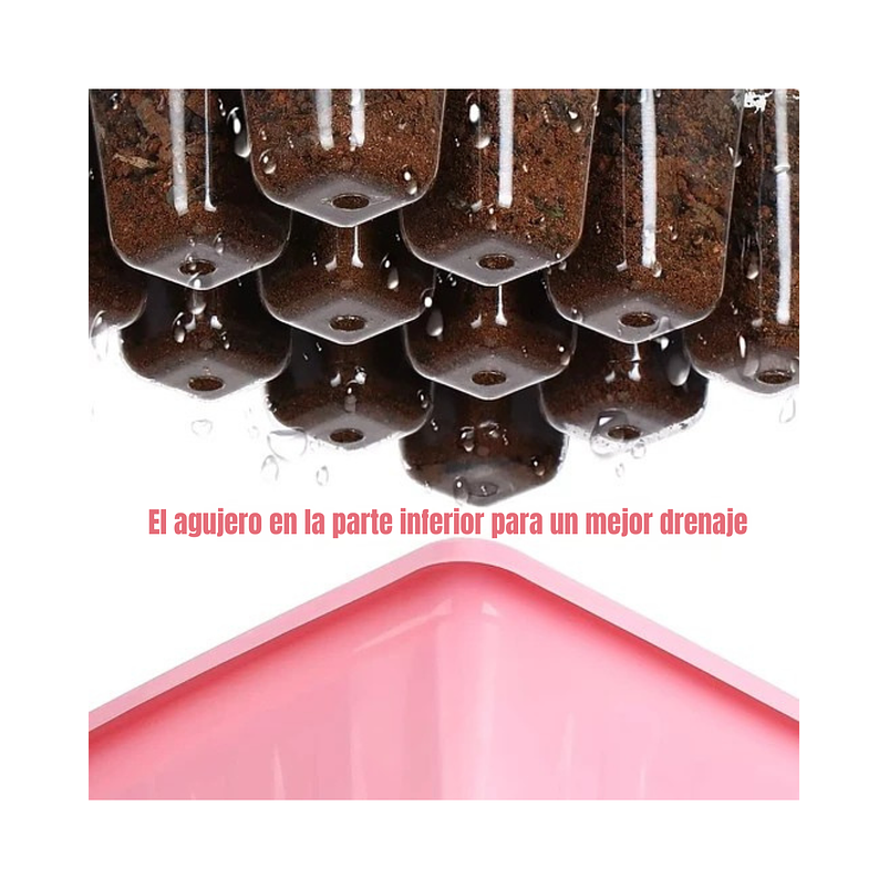 Bandeja Germinación Semillas Plantas Plástica mas cúpula x01 Pieza 4