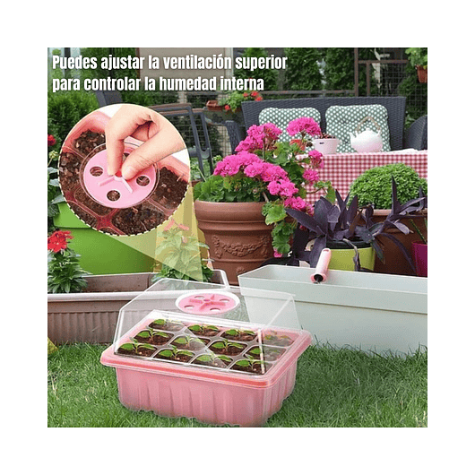 Bandeja Germinación Semillas Plantas Plástica mas cúpula x01 Pieza 5
