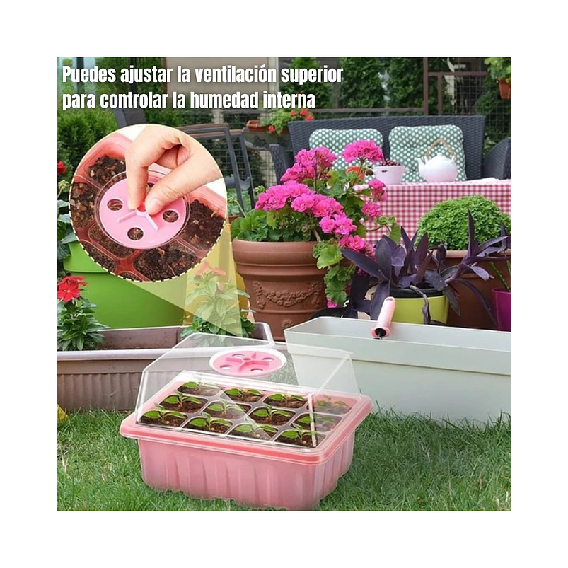 Bandeja Germinación Semillas Plantas Plástica mas cúpula x01 Pieza 5