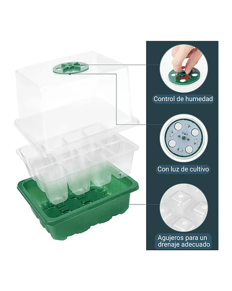 Bandeja Germinación Cúpula x5 Más luz Crecimiento Más Herramientas