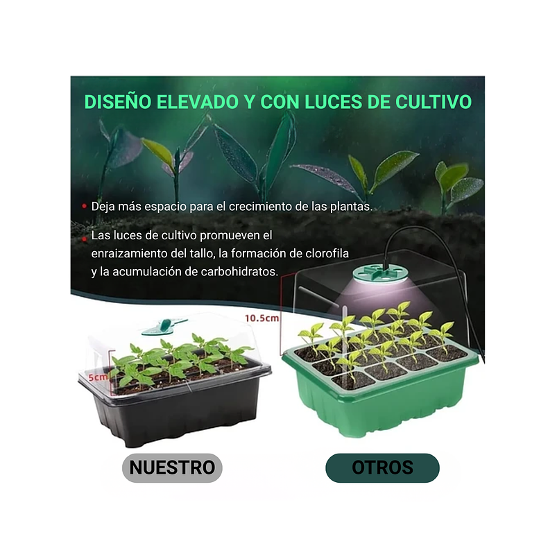 Bandeja Germinación Cúpula x5 Más luz Crecimiento Más Herramientas 3