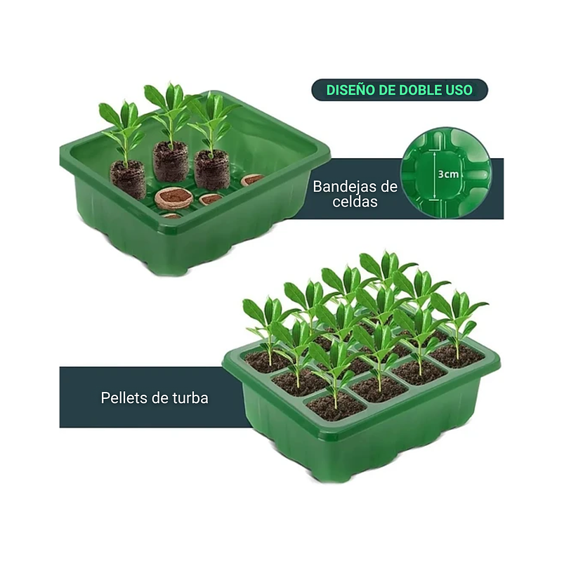 Bandeja Germinación Cúpula x5 Más luz Crecimiento Más Herramientas 5