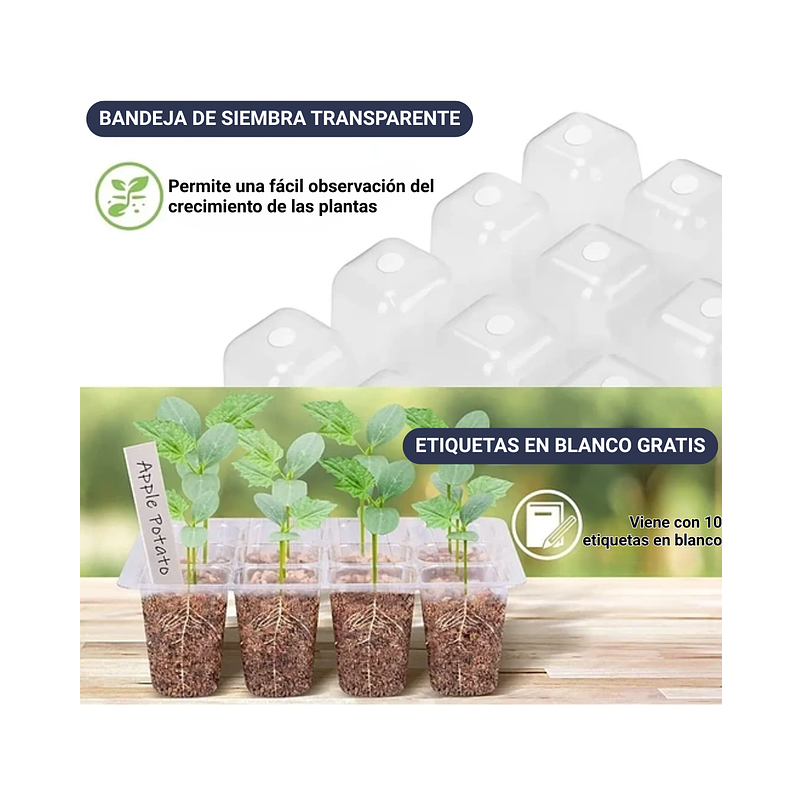 Bandeja Germinación Cúpula x5 Más luz Crecimiento Más Herramientas 6