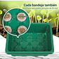 Bandeja De Germinar x12 Celdas, Cubierta Ajuste x5 Unidades - Miniatura 7