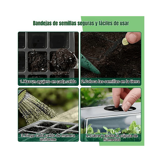 Bandeja De Germinar x12 Celdas, Cubierta Ajuste x5 Unidades 9