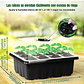 Bandeja De Germinar x12 Celdas, Cubierta Ajuste x5 Unidades - Miniatura 11