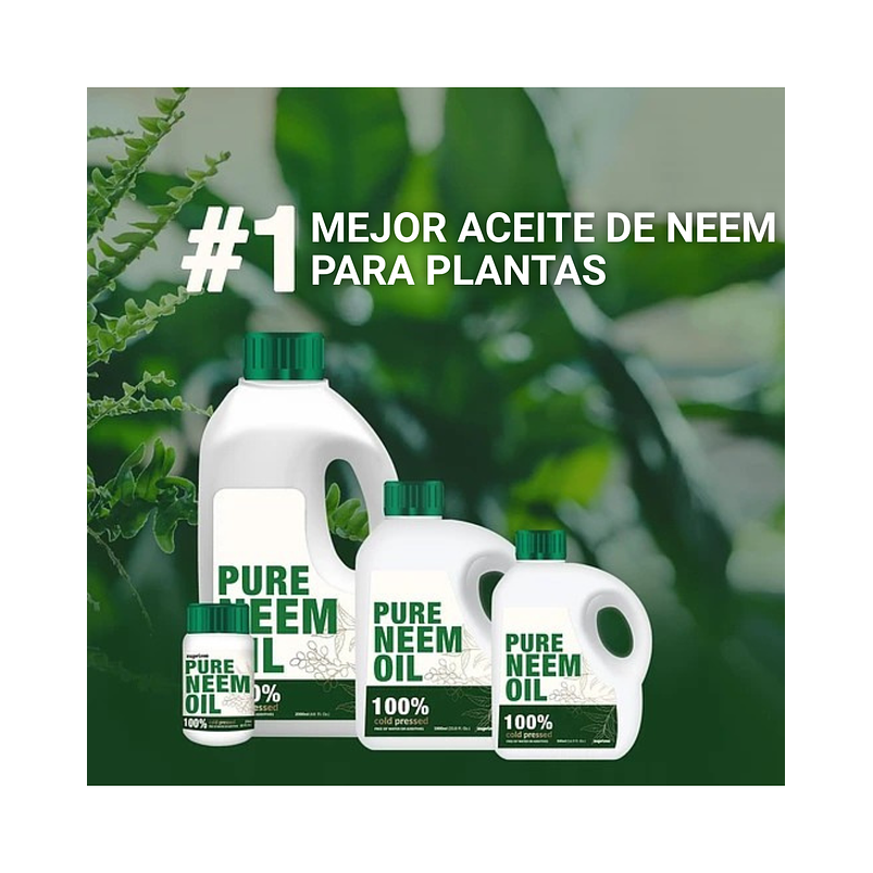 Aceite 100% Neem Prensado Frío Organico Para Plantas x250 ML 4