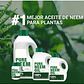 Aceite 100% Neem Prensado Frío Organico Para Plantas x250 ML - Miniatura 4