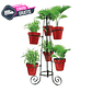 Soporte Metalico de Plantas x 6 Puestos de 80cms Alto + 6 Macetas Plasticas Acabado Brillante - Miniatura 1