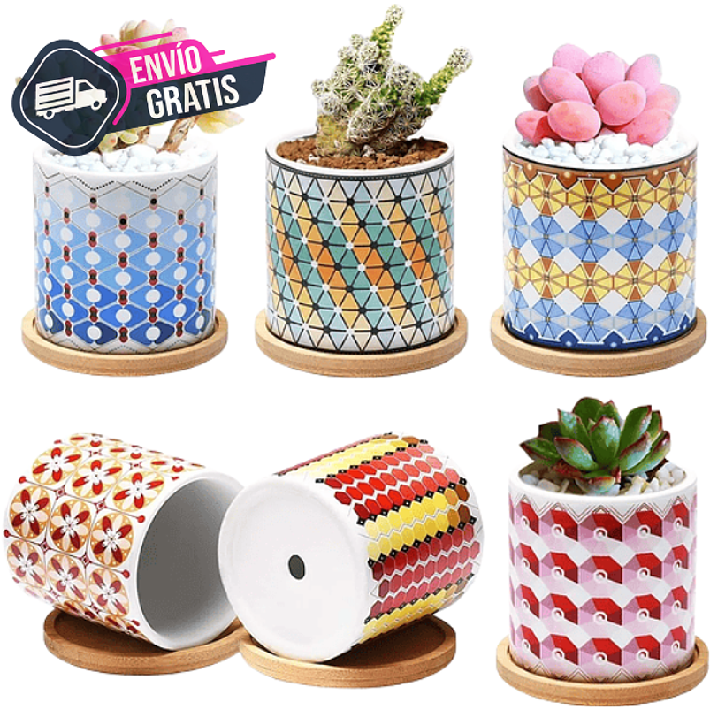 Juego Macetas Cerámica Premium x6 Piezas 8cm más plato Bambu 1