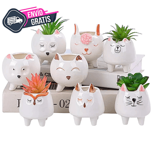 Juego Macetas x8 en Cerámica Premium Diseño Animalitos