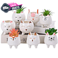 Juego Macetas x8 en Cerámica Premium Diseño Animalitos - Miniatura 1