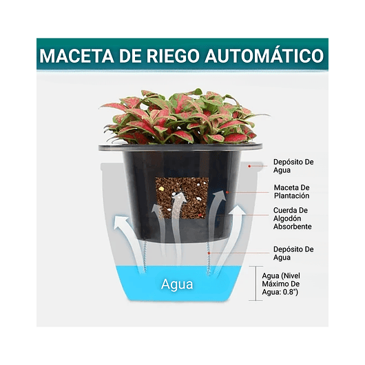 Juego x3 macetas plasticas más bandeja en bambú sistema autoriego 2