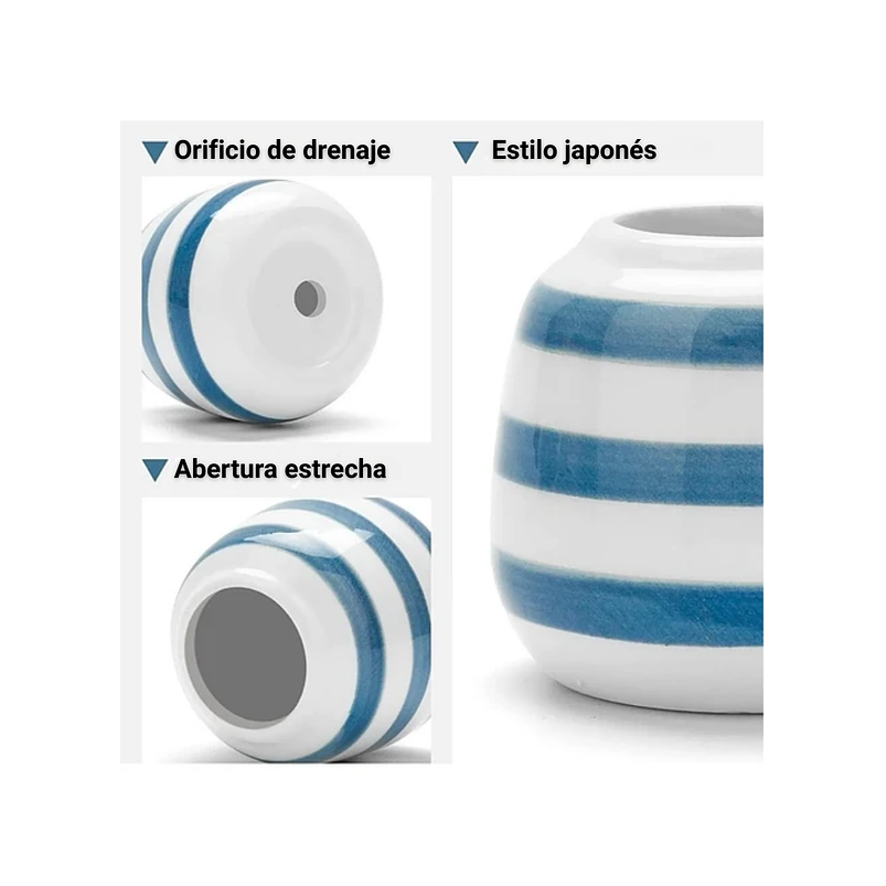 Juego De Macetas En Cerámica Fina x6 Piezas Cactus Baby Blue 5